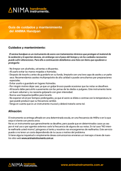 handpan - cuidados y mantenimiento