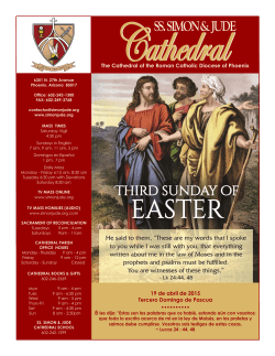 Youth Ministry - Ss. Simon & Jude Cathedral