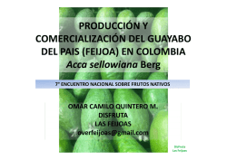 Guayabo del pa&iacute;s en Colombia_CQuintero