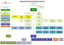 ORGANIGRAMA PETROAMAZONAS EP