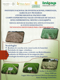 Presentaci&oacute;n de PowerPoint