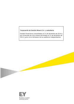 CGM and subsidiaries 31.12.14-13 español.docx