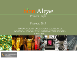 bion Algae - Archilovers