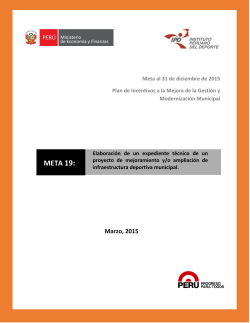 META 19: - Ministerio de Economía y Finanzas