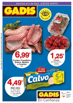 Ver PDF - Gadisa