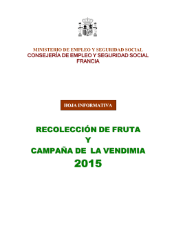 CAMPAÑA DE LA VENDIMIA Y FRUTA 2015