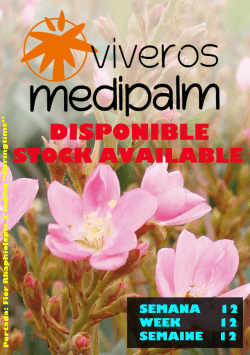 viveros medipalm, sa campaña 2014/2015