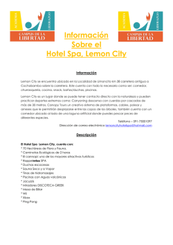 Informaci&oacute;n Sobre el Hotel Spa, Lemon City