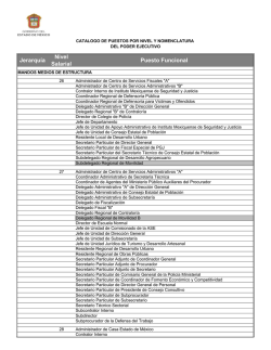 Cat&aacute;logo de puestos por nivel y nomenclatura