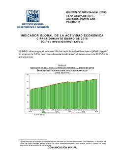 Indicador Global de la Actividad Econ&oacute;mica (IGAE)