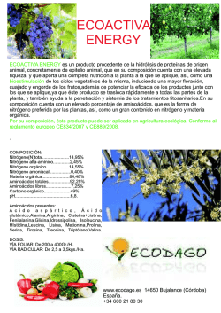 ficha ecoactiva energy