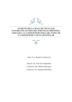 Documento completo