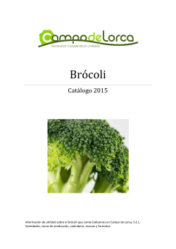 Catálogo brócoli 2015