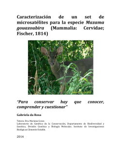 Caracterización de un set de microsatélites para la especie Mazama