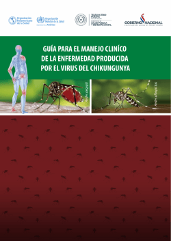 Qué es el chikungunya? - Ministerio de Salud Pública y Bienestar