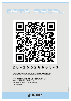goicoechea guillermo andres iva responsable inscripto