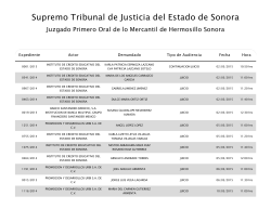 Audiencias Públicas del Juzgado Oral Mercantil Obregón