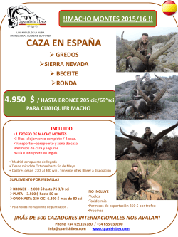 machos - Spanish Ibex