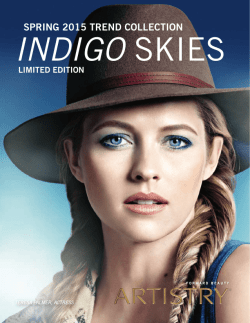 INDIGO SKIES
