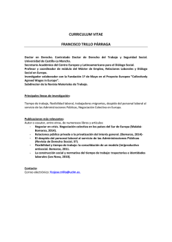 curriculum vitae francisco trillo p&aacute;rraga