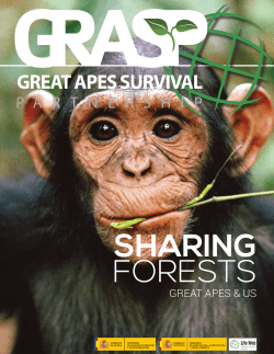 GREAT APES & US