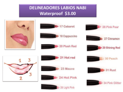 Descargar Catálogo Gratis