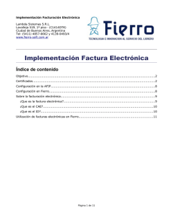 Implementaci&oacute;n Factura Electr&oacute;nica