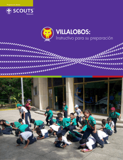Descarga el Instructivo VillaLobos 2015