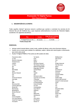 Promoci&oacute;n TV Digital Pymes