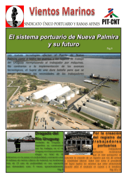 El sistema portuario de Nueva Palmira y su futuro
