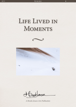 Kokoro - 013 Life Lived in Moments