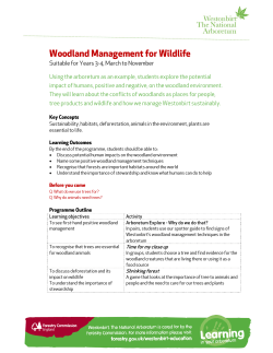 Woodland Management for Wildlife