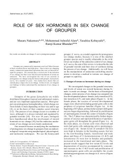 role of sex hormones in sex change of grouper