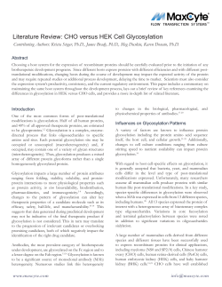 Literature Review: CHO versus HEK Cell Glycosylation