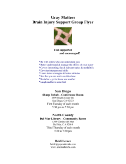 Gray Matters Brain Injury Support Group Flyer