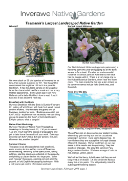 Newsletter - Inverawe Native Gardens