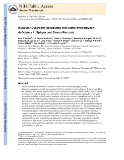 Muscular Dystrophy associated with alpha
