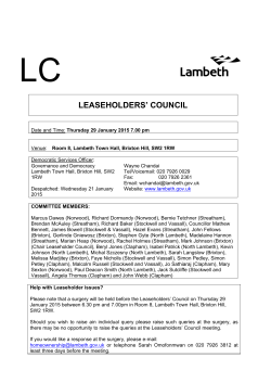 Report - Local democracy and decision making