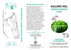 Gallows Hill Leaflet