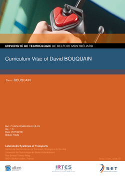 Curriculum Vitæ of David BOUQUAIN