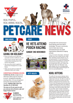 petcare news
