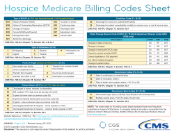 Hospice Medicare Billing Codes Sheet