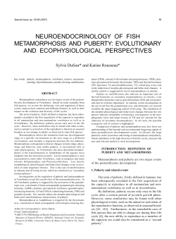 neuroendocrinology of fish metamorphosis and puberty