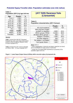 Population estimate - Swansea Vale, Llansamlet (PDF, 477kb)
