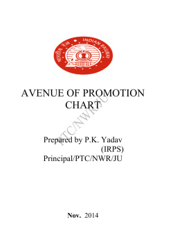 AVENUE OF PROMOTION CHART