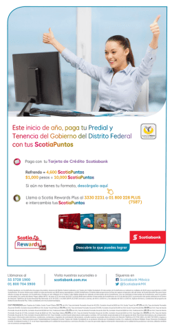 E-news SRP -Compra y Paga Impuestos GDF2