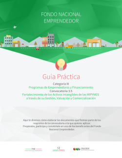 Descargar guía de requisitos