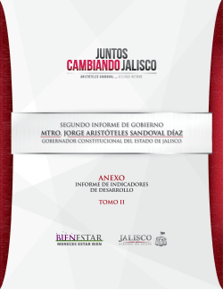 Tomo II Informe de Indicadores de Desarrollo Enlace al archivo
