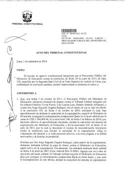 Hl II 101 - Tribunal Constitucional del Per&uacute;