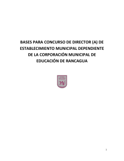 Bases - Directores para Chile
